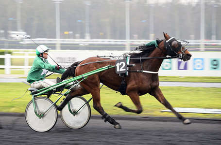 Actualités Hippiques